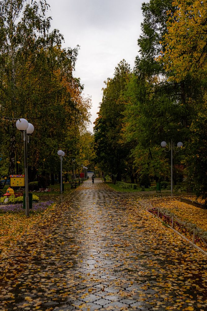 Photograph by Альберт Габбасов