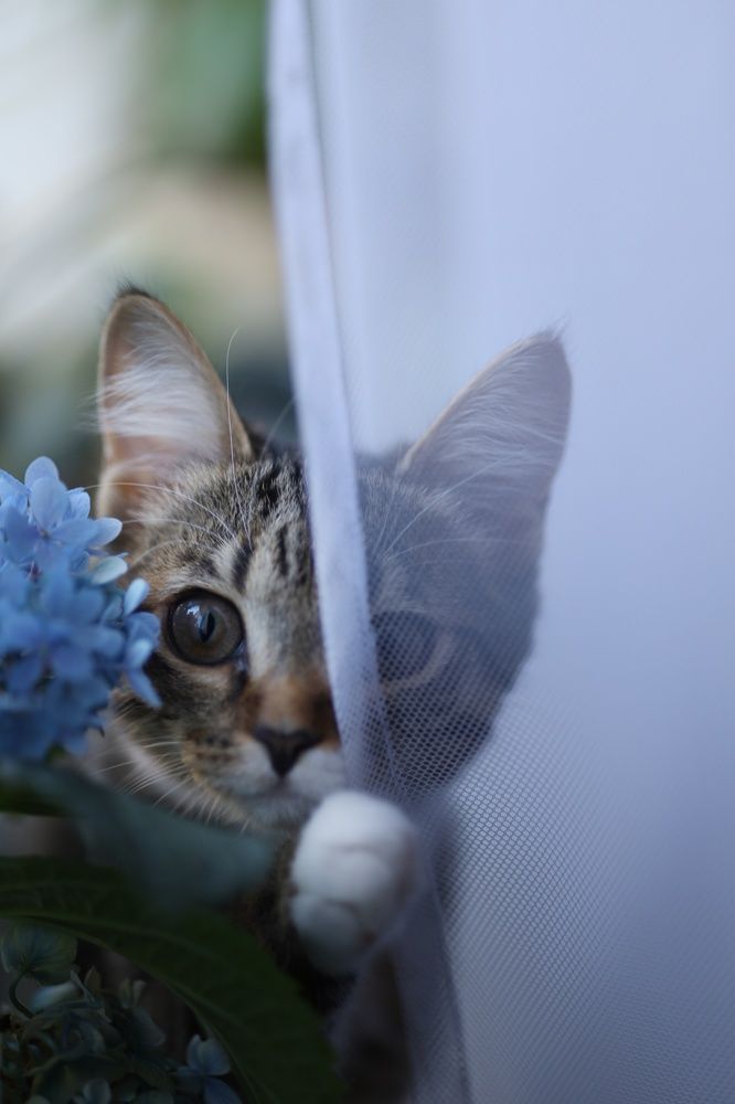 Photograph by Бальзирова Наталья