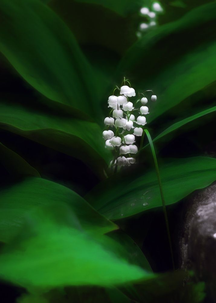 Photograph by Александр Удальчиков