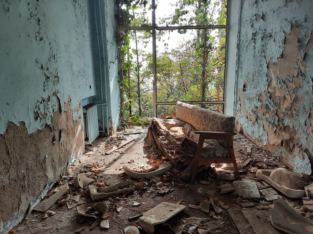 Photograph by Елена Симонова