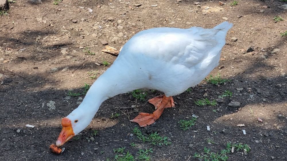 Photograph by Ольга