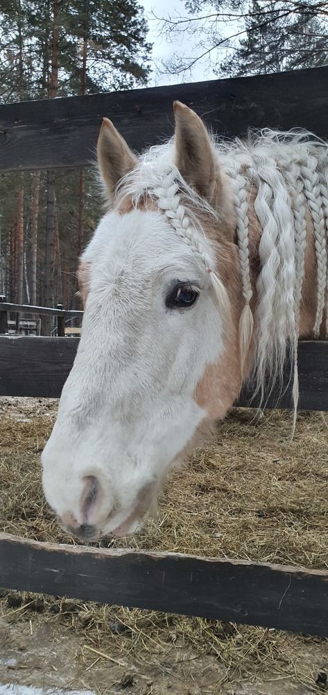 Photograph by Ольга