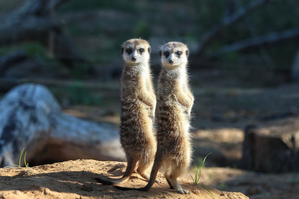 Photograph by Елена Кириллова