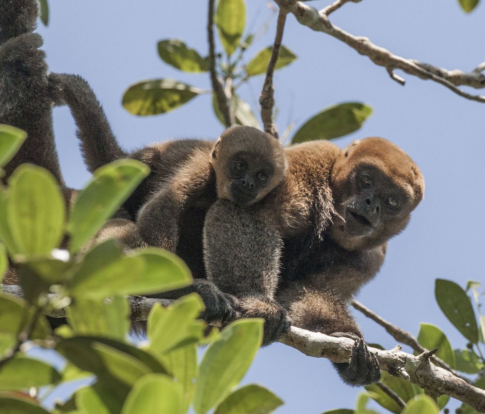 Фотография автора Oskars Smelins