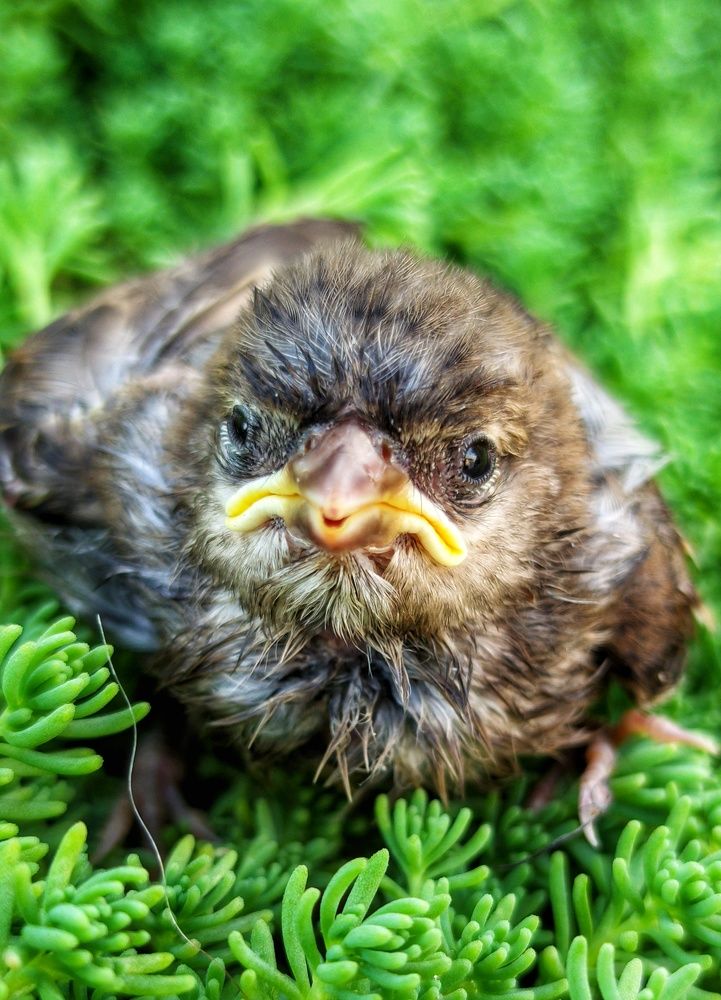 Photograph by Дмитрий Леонтенко