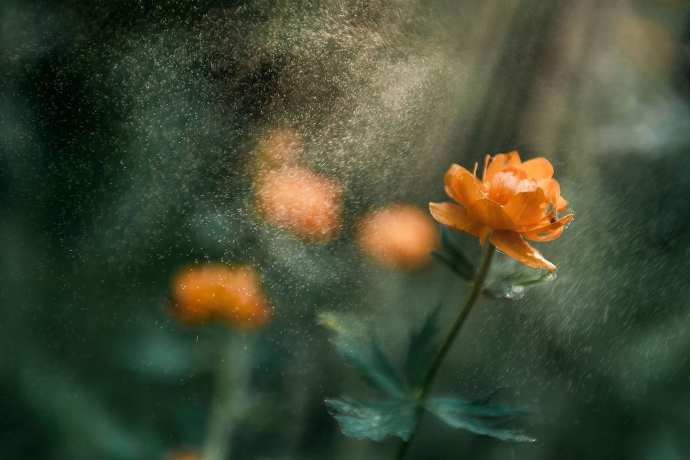 Photograph by Денис Илюхин