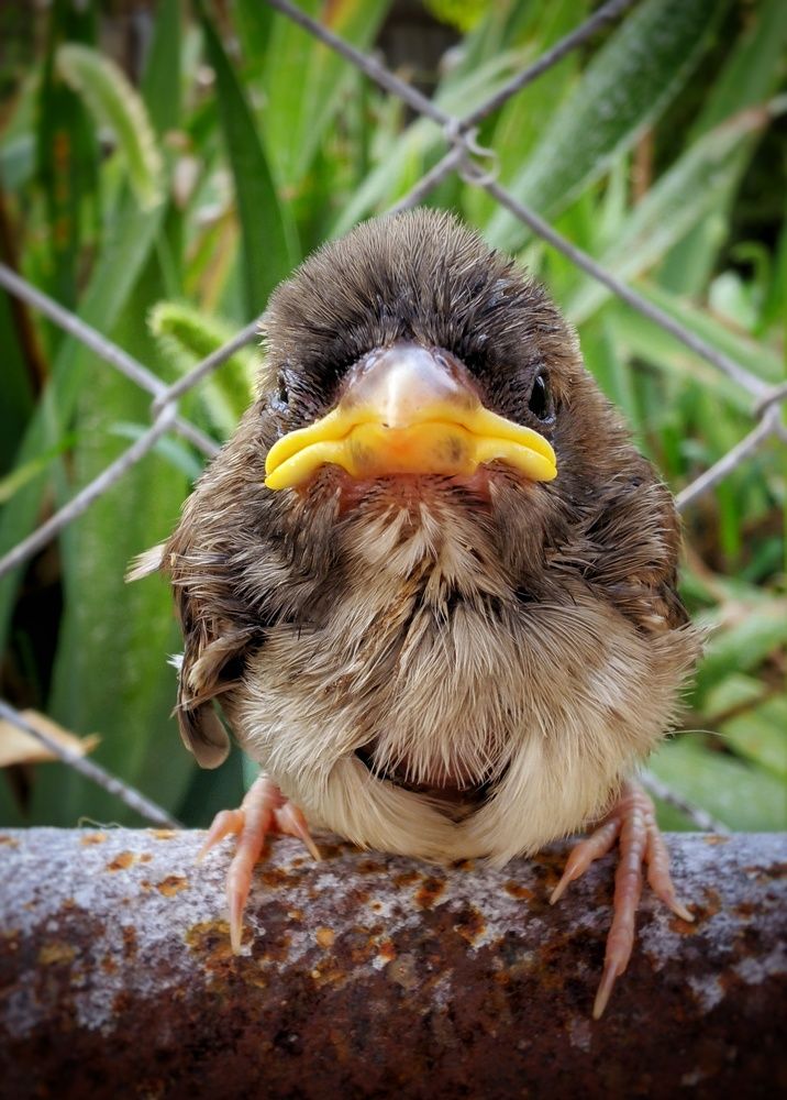 Photograph by Дмитрий Леонтенко