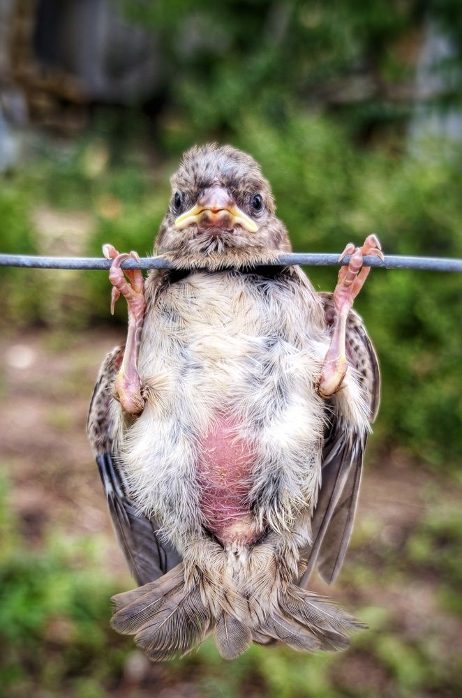 Photograph by Дмитрий Леонтенко