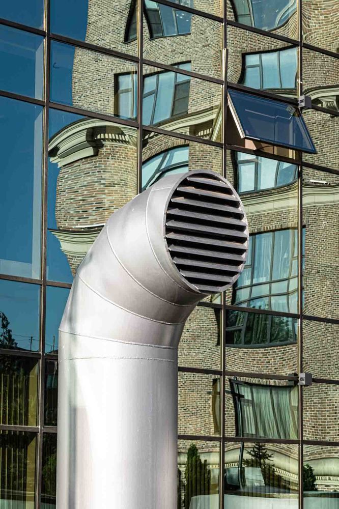 Фотография автора Елена Кошкина