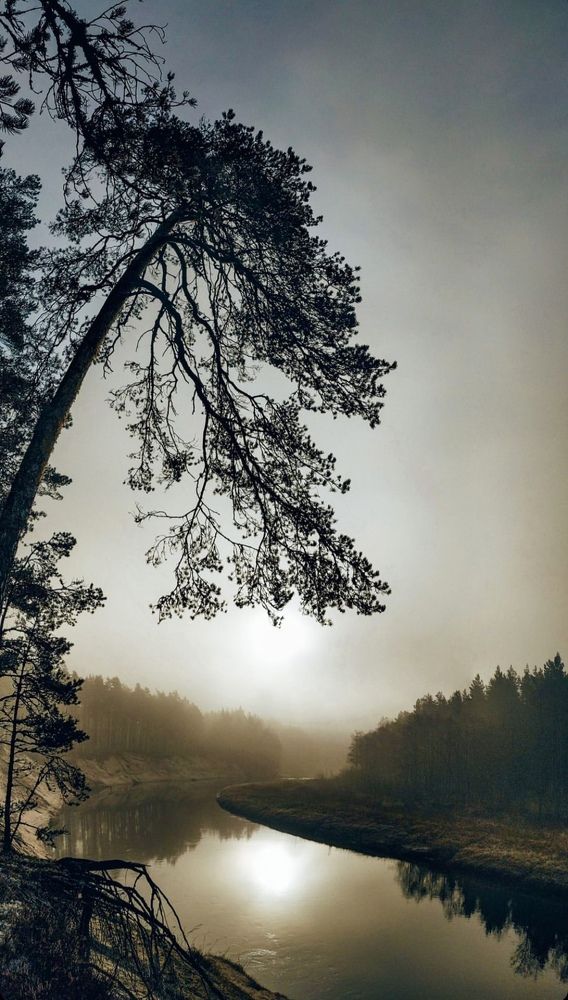 Photograph by Екатерина Антонова