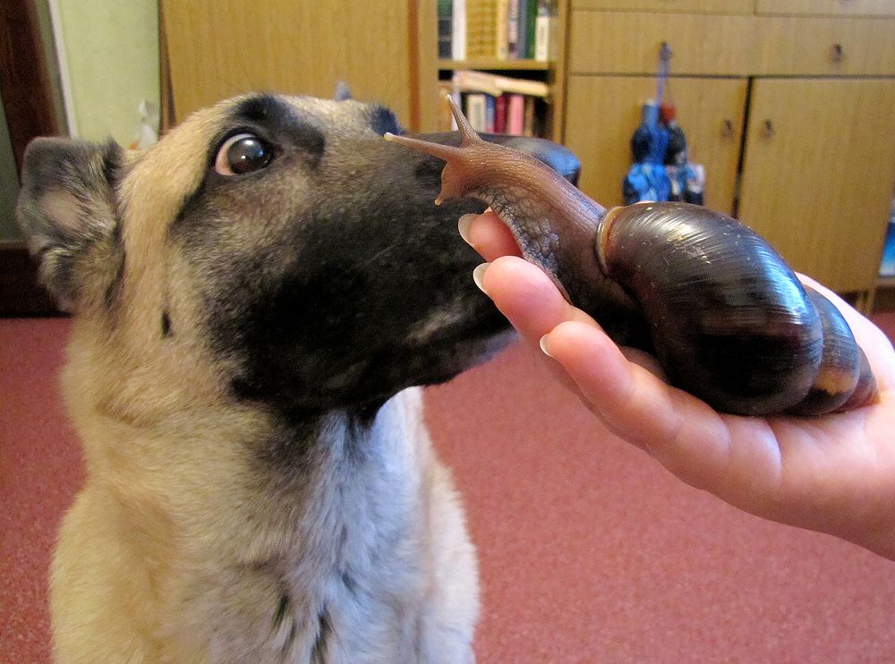 Photograph by Наталья