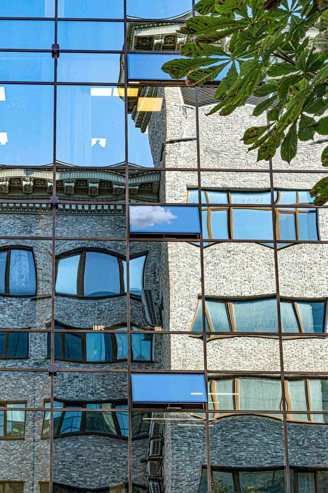 Фотография автора Елена Кошкина