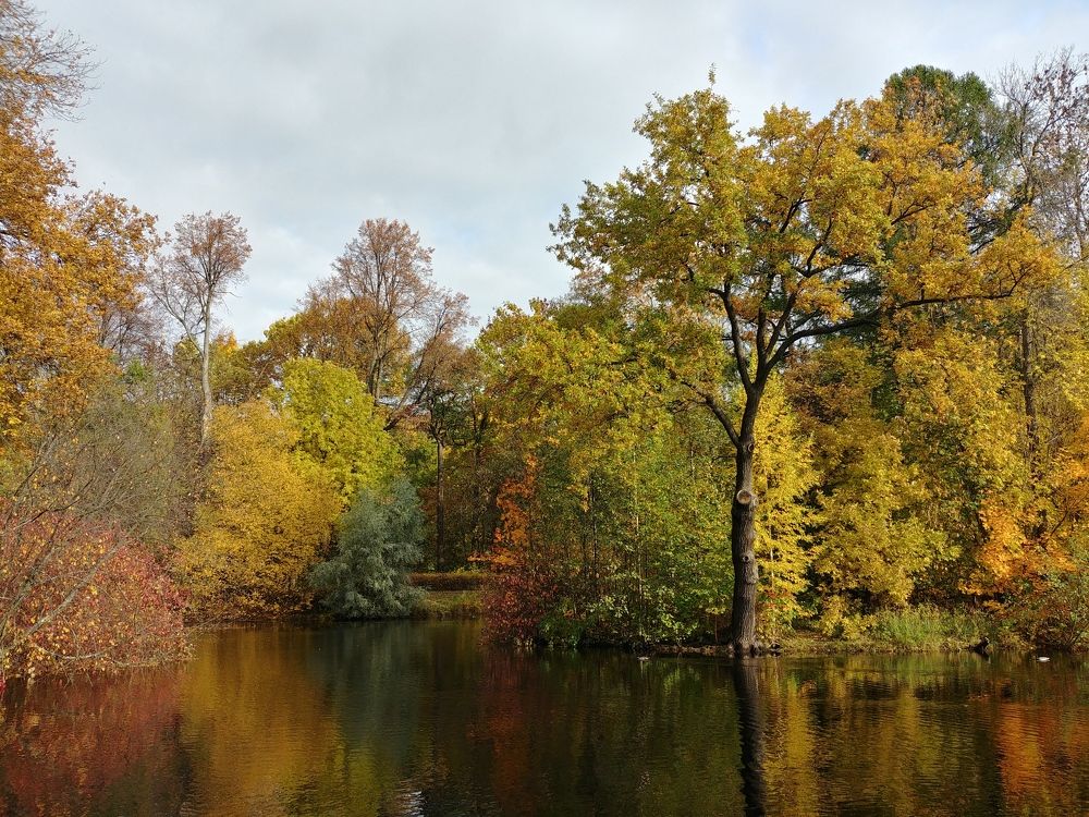 Photograph by Константин Степанов