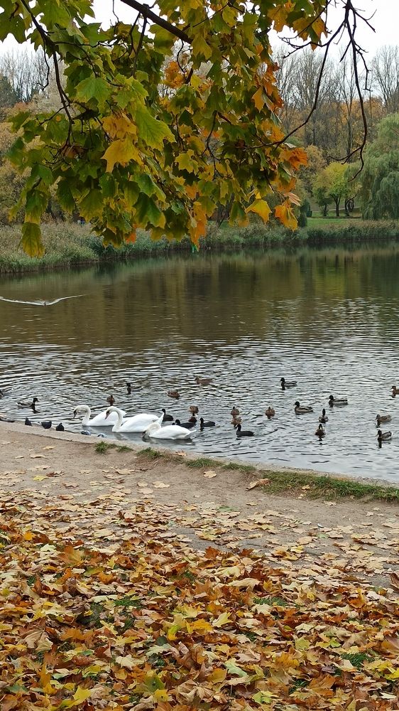 Photograph by Людмила Щуцкая