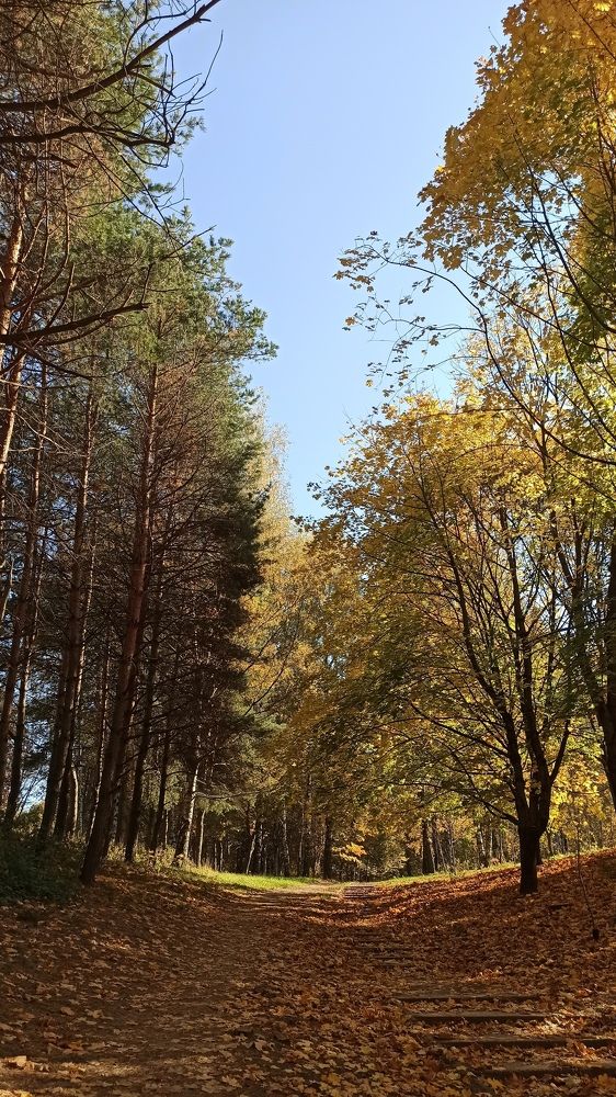 Photograph by Людмила Щуцкая