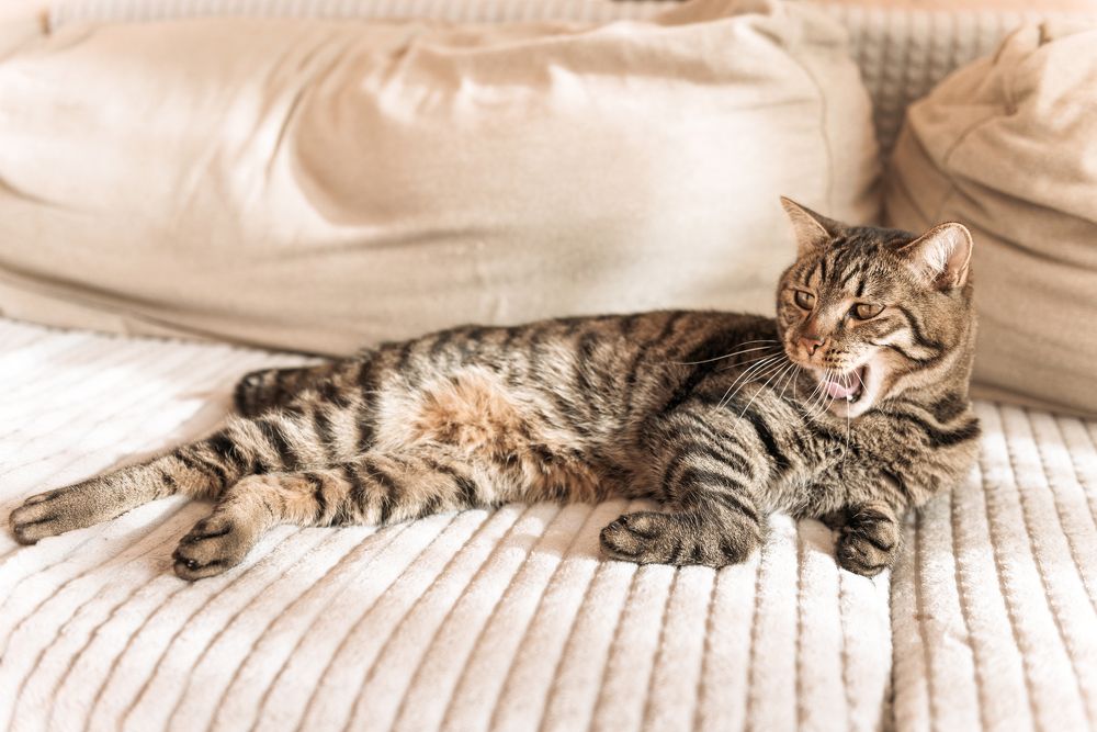 Photograph by Денис Илюхин