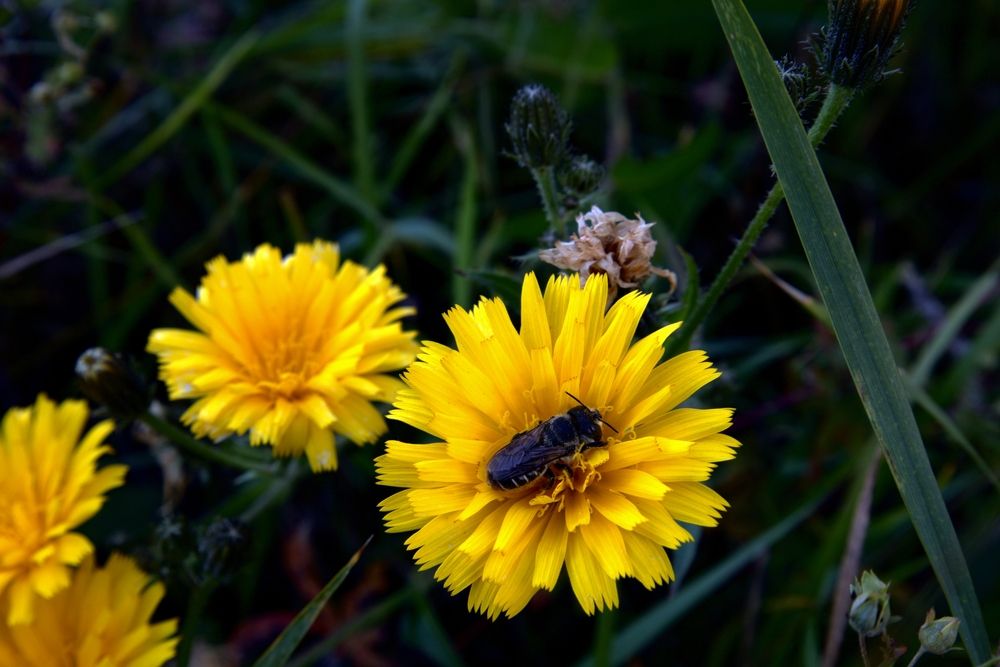 Photograph by ANDREY KISELYOV