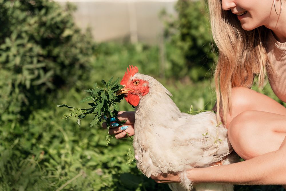 Photograph by Денис Илюхин