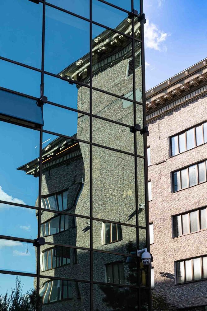 Фотография автора Елена Кошкина