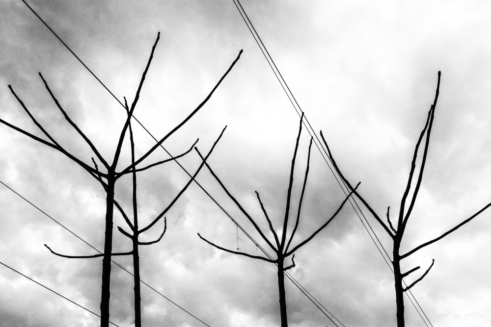 Photograph by Дмитрий Бахтадзе