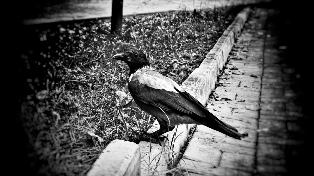 Photograph by Дмитрий Леонтенко