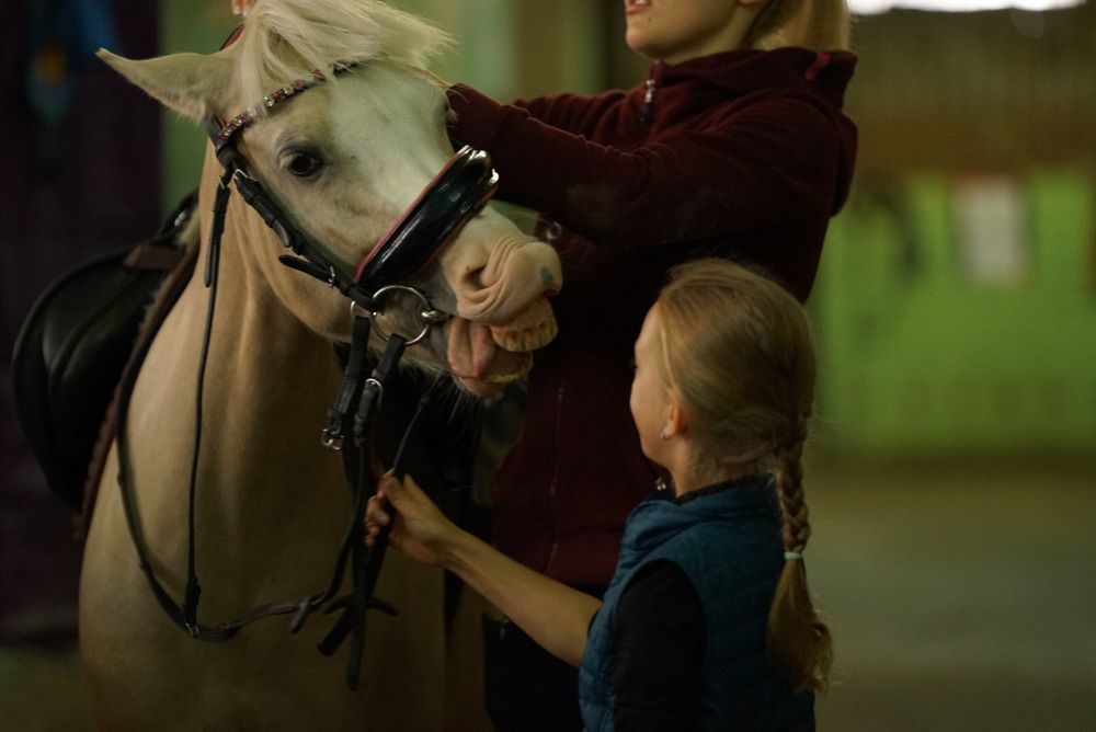 Photograph by Светлана