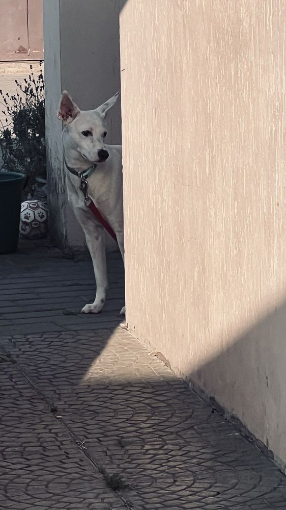 Фотография автора Наталья Васько -Черданцева