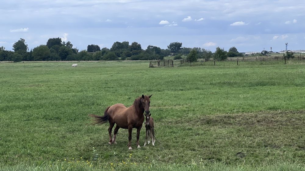 Фотография автора Наталья Васько -Черданцева