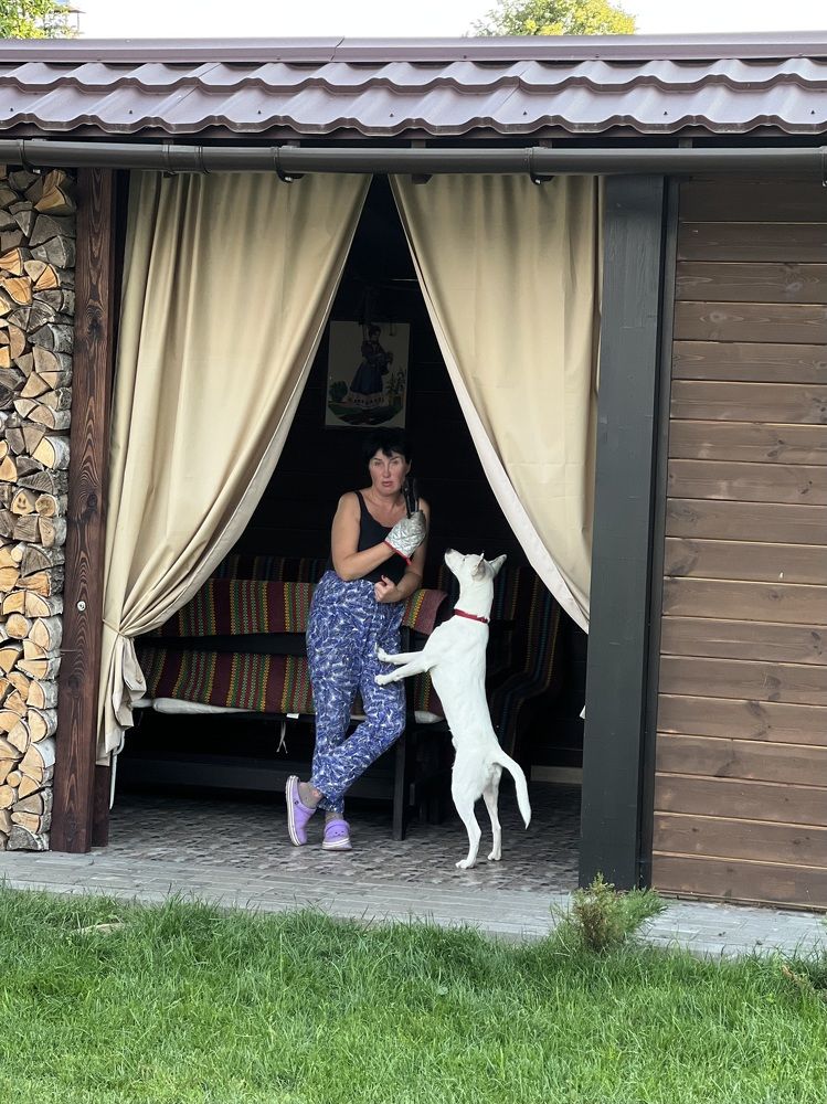 Фотография автора Наталья Васько -Черданцева