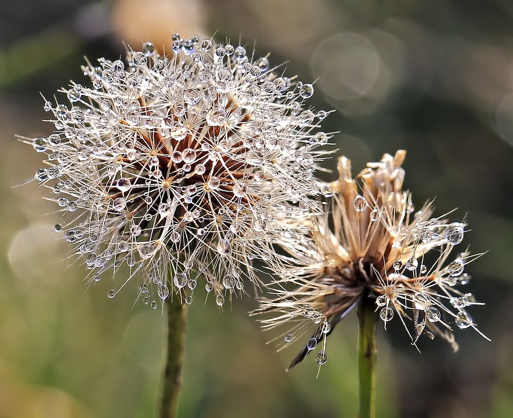 Photograph by Борис Новиков