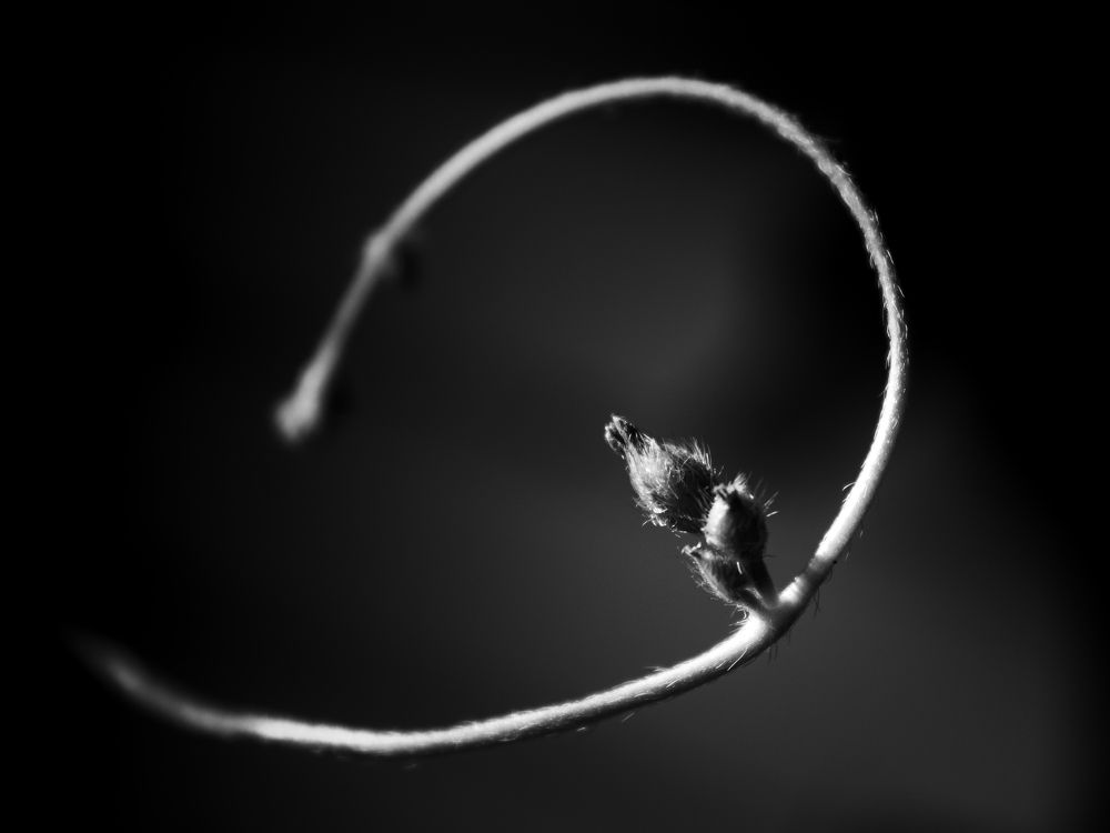 Photograph by Сергей Костиков