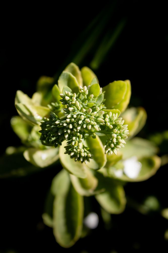 Photograph by Сергей Костиков