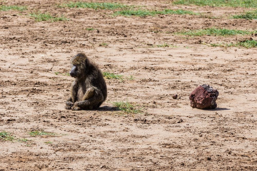 Photograph by Сергей Андрейчук