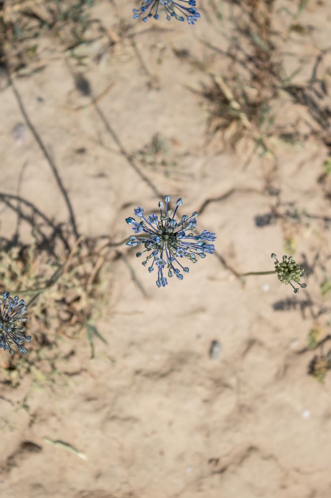 Photograph by Сергей Костиков