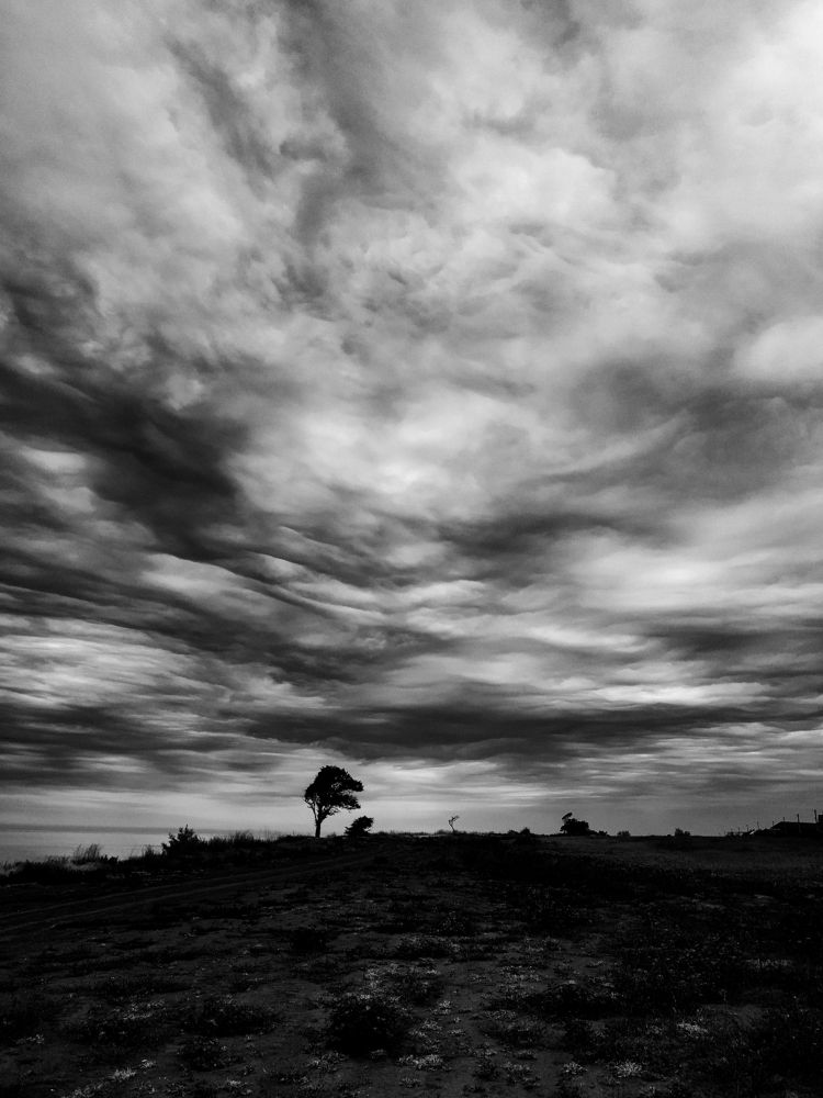 Photograph by Анастасия Агенидзе