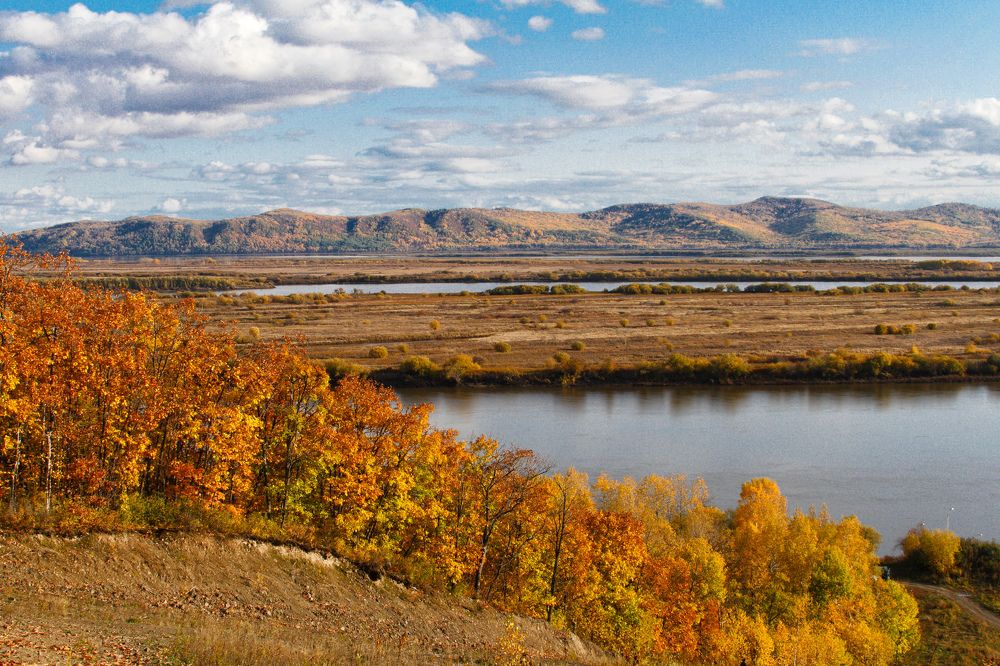 Photograph by Дарья