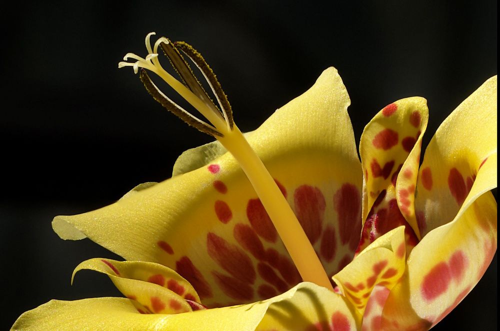 Photograph by Кривицкая Марина