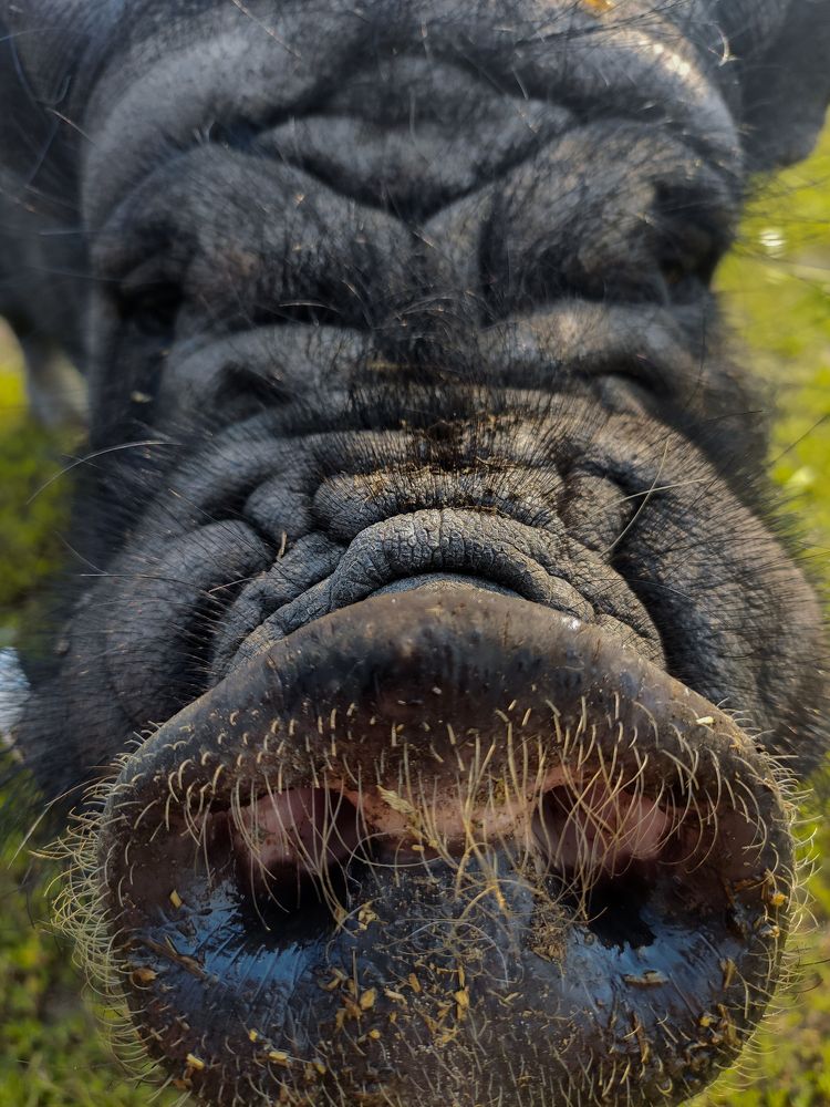 Photograph by Ольга Владимировна