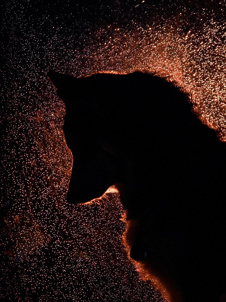 Photograph by Светлана Смирнова