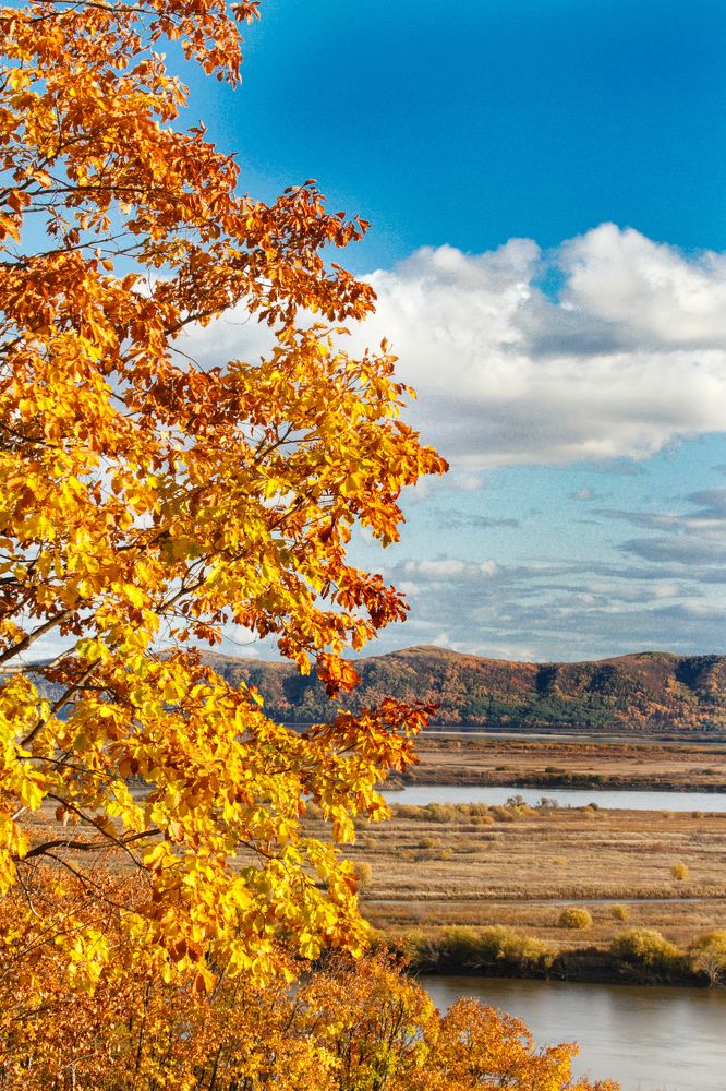 Photograph by Дарья