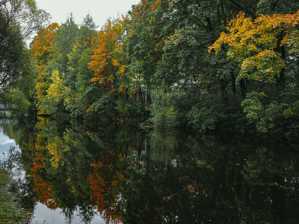 Photograph by Алексей Гнедовский