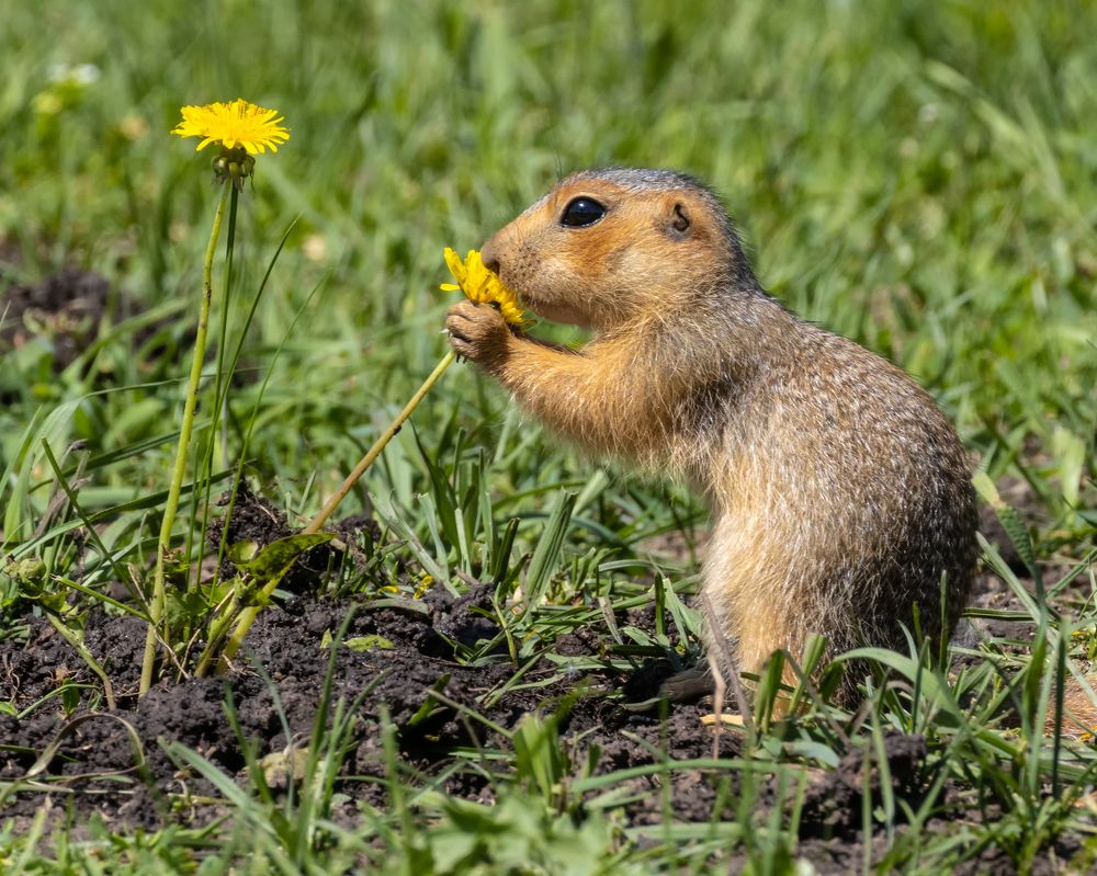Вкусно пахнет