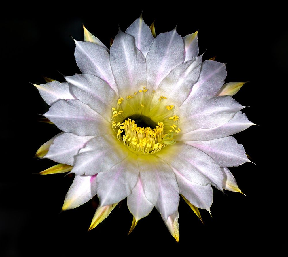 Photograph by Борис Новиков