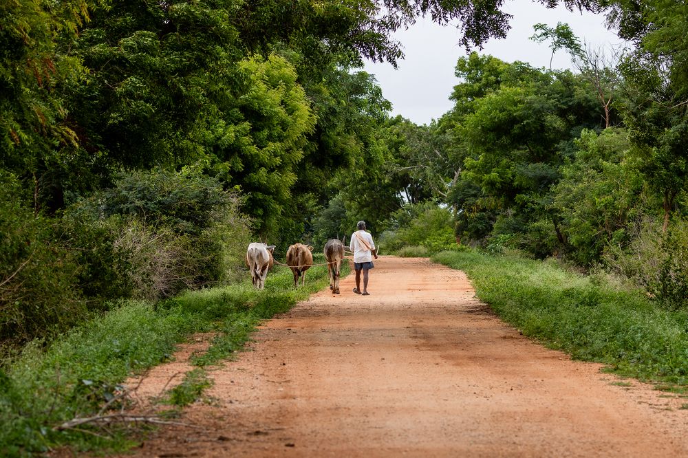 Photograph by Seeja Sadath