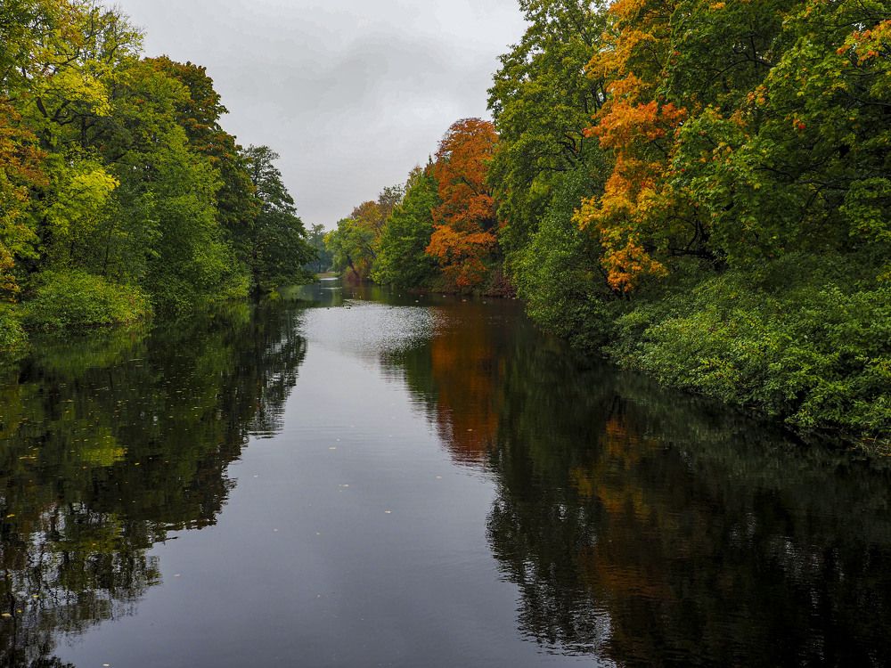 Photograph by Алексей Гнедовский