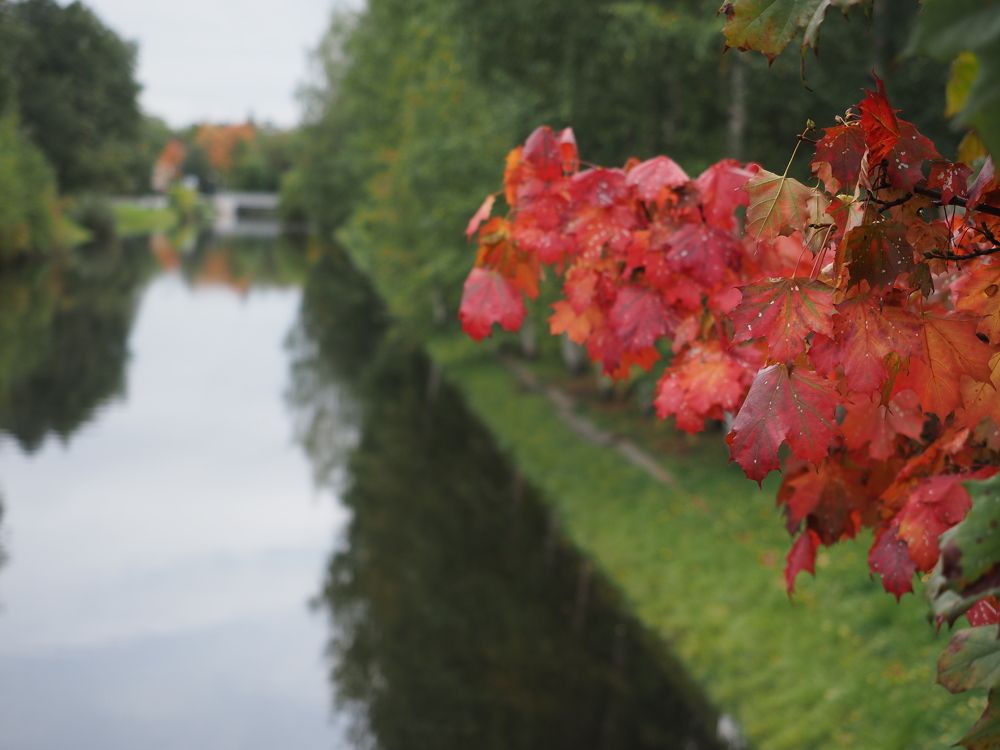 Photograph by Алексей Гнедовский