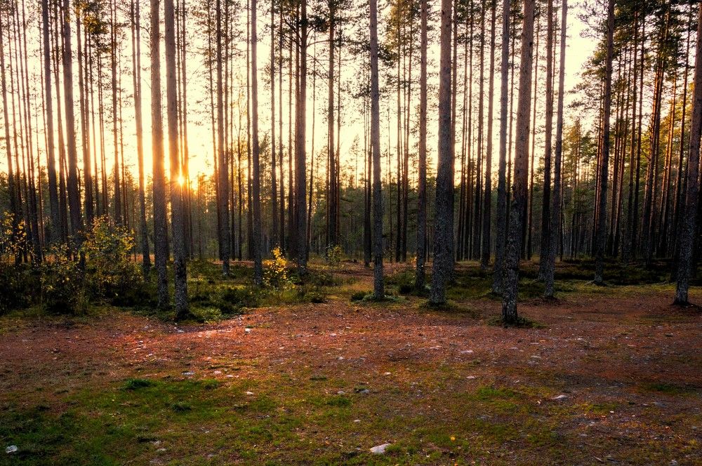 Photograph by Олег Менакер