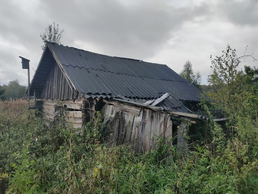 Photograph by Алексей Гнедовский