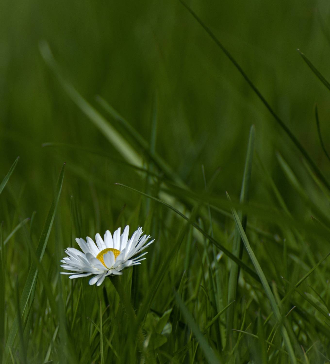 Фотография #9649927