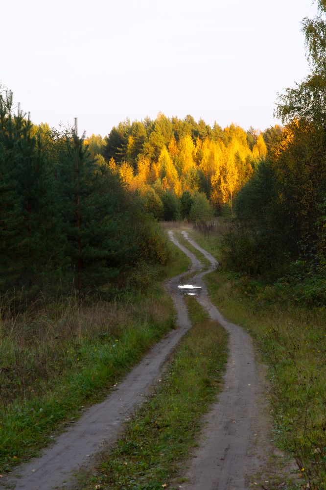 Photograph by Максим